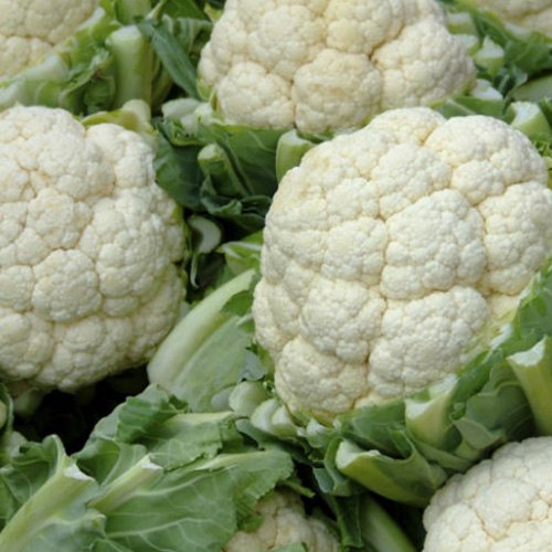 Whole Fresh Cauliflower, Packaging Type : Customized