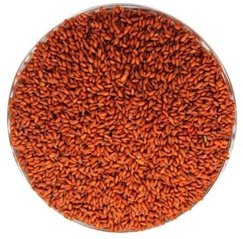 Asaliya Seeds For Human Consumption