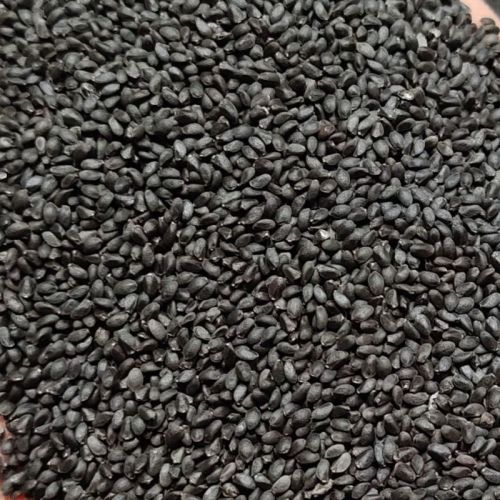 Basil Seeds For Health Supplement