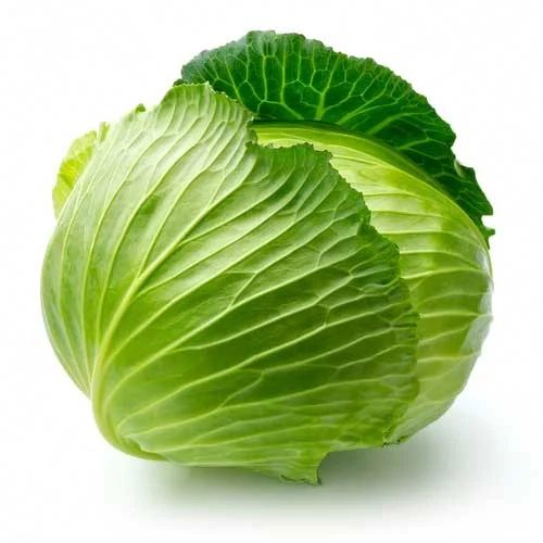 Fresh Cabbage, Packaging Size : 5-10kg