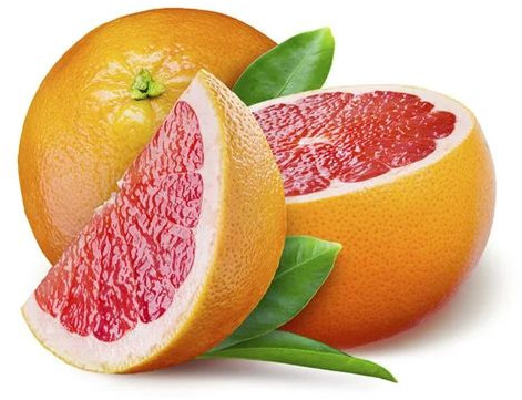 Organic Fresh Grapefruit For Human Consumption