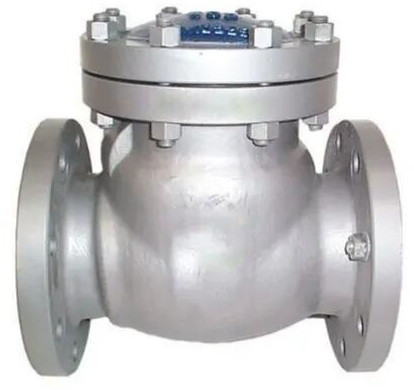 SS Non Return Valve For Industrial