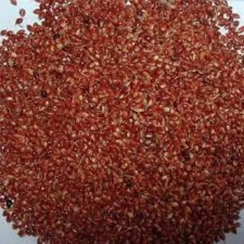 Organic Goat Fodder Seeds, Color : Red