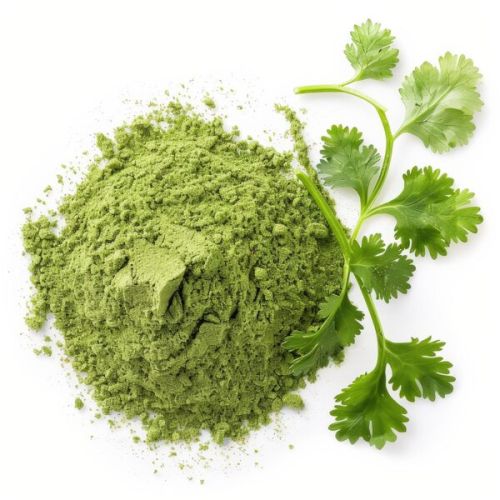 Dehydrated Coriander Leaves Powder For Cooking