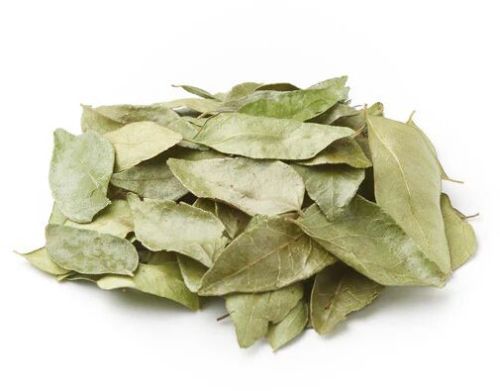 Dehydrated Curry Leaves For Human Consumption