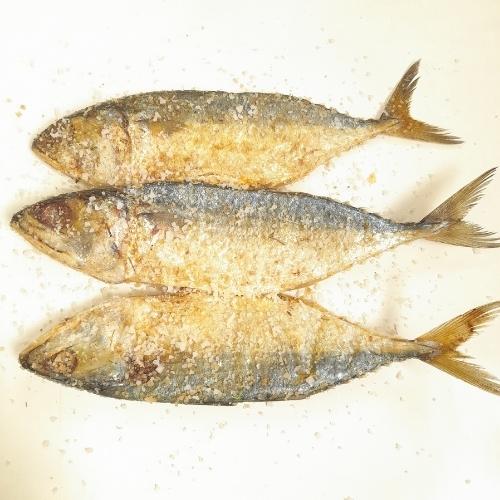 Dry Mackerel Fish For Cooking