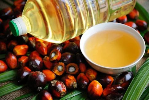 Palm Oil For Cooking