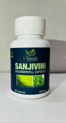 Aushadhi Chlorophyll Capsule, Packaging Type : Bottle