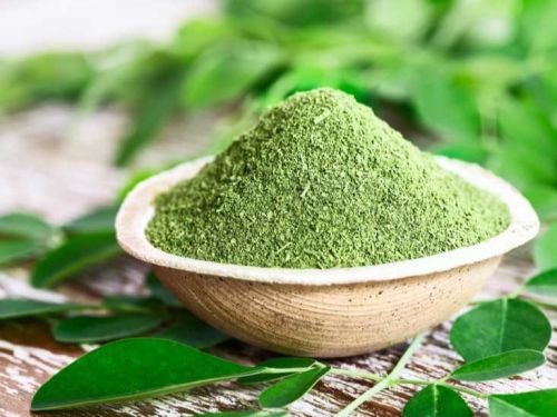 Moringa Leaves Powder, Packaging Type : PP Bag