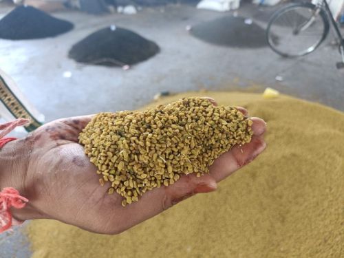 Organic Fenugreek Seeds, Color : Yellow, Grade Standard : Food Grade