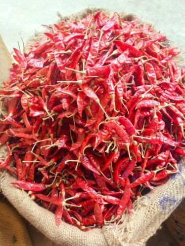 334 Sannam Dry Red Chilli For Cooking