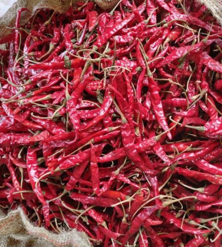 Teja S17 Dry Red Chilli For Cooking