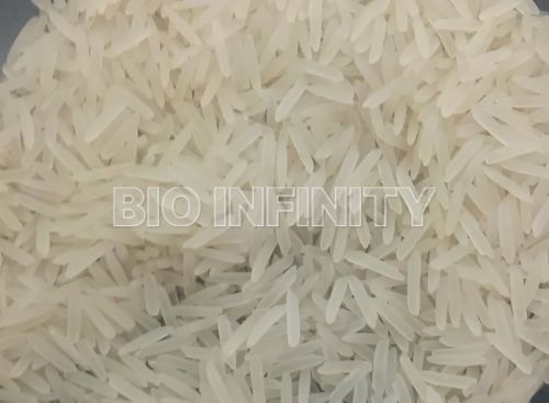 1509 Basmati Rice, Speciality : Gluten Free, High In Protein