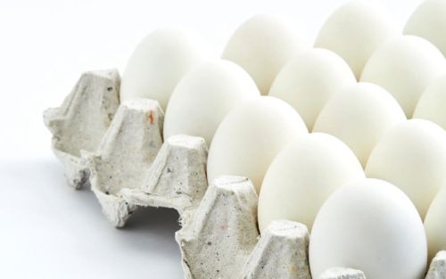 Poultry Eggs for Bakery Use, Human Consumption