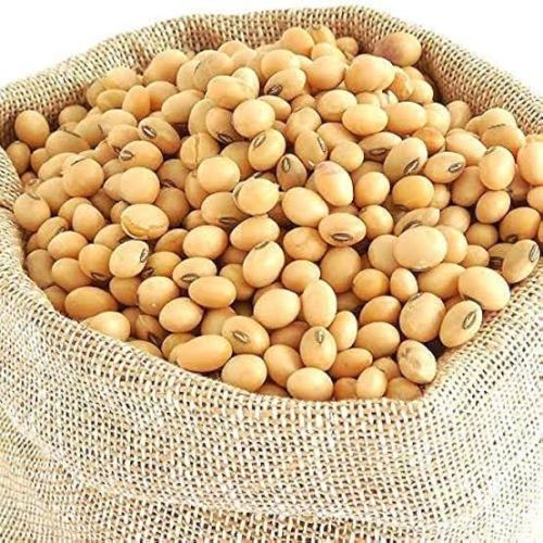 Nature Soybean Seed For Cooking, Human Consumption, Animal Feed