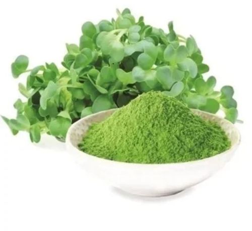 Organic Alfalfa Leaf Powder, Packaging Type : Plastic Packet