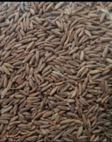 Natural Cumin Brown Seed