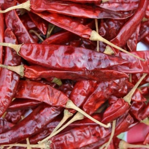 Without Stem Organic Dry Red Chilli For Cooking