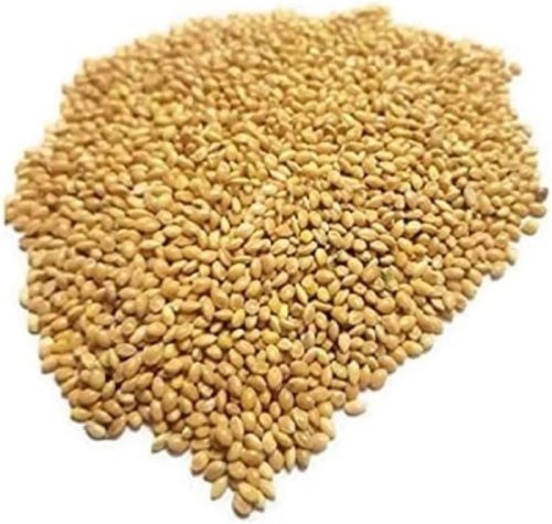 Organic Foxtail Millet Seeds, Packaging Type : Plastic Bag