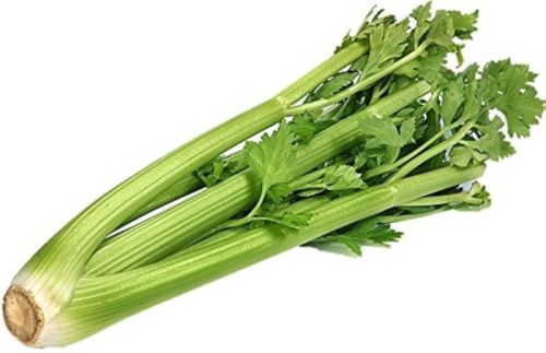 Fresh Celery, Freezing Process : Cold Storage