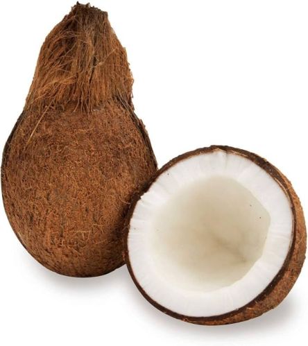 Hard Organic Fresh Coconut, Color : Brown