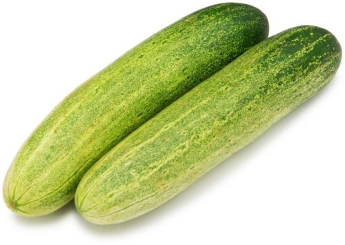 Fresh Cucumber, Color : Green