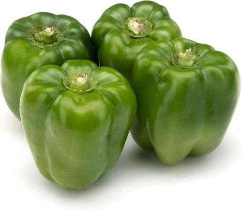 Fresh Green Capsicum For Cooking