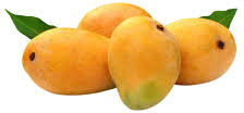 Organic Fresh Kesar Mango, Color : Yellow