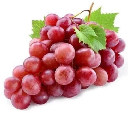 Organic Fresh Red Grapes For Human Consumption