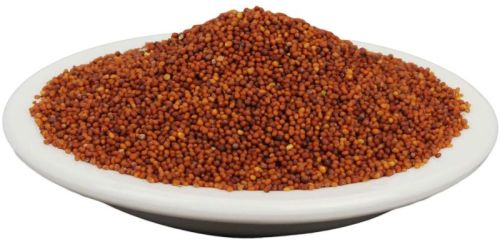 Imavarsha Red Rai Seeds