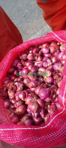 Natural Fresh Small Onion, Packaging Size : 25kg