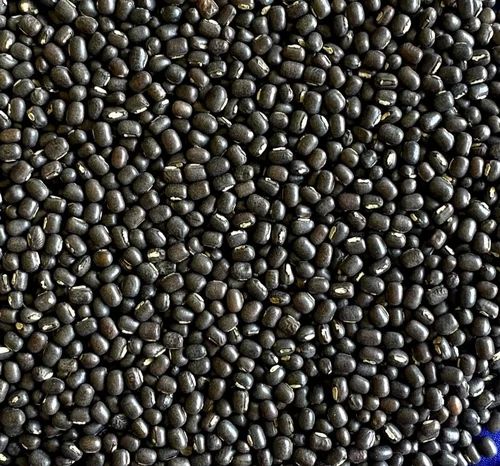 Natural Black Urad Dal For Human Consumption