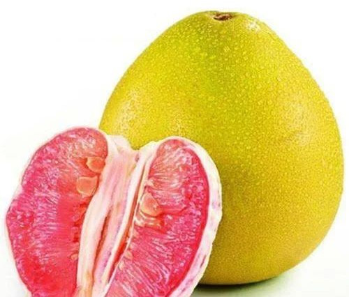 Fresh Pomelo, Packaging Type : Plastic Bag