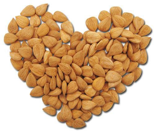 Hard Natural Sweet Apricot Kernels For Human Consumption