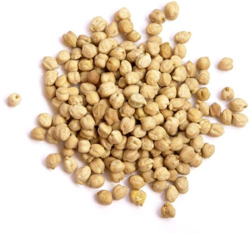 Natural White Chickpeas For Human Consumption