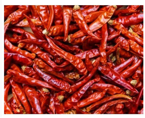 Natural Kashmiri Dry Red Chilli For Spices, Cooking