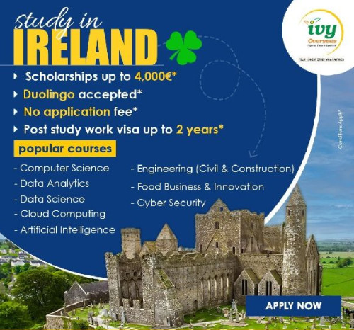 Study Ireland Consultants