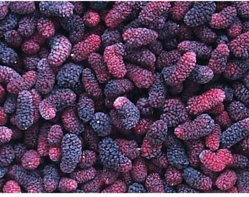 Frozen Imported Blackberry, Taste : Sweet