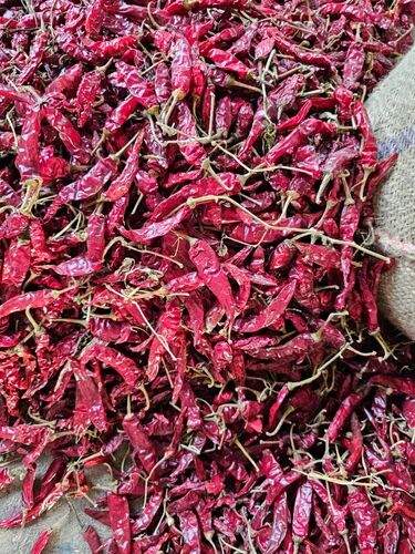 5531 Dry Red Chilli For Spices, Cooking