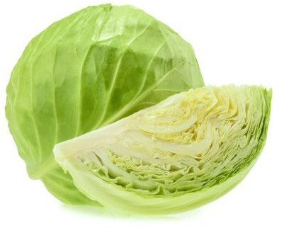 Fresh Cabbage For Human Consumption