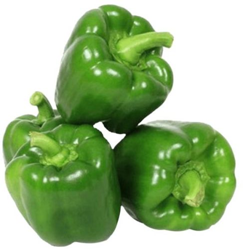 Fresh Green Capsicum For Human Consumption
