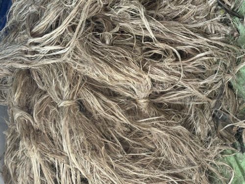 Banana Fiber Uncombed, Color : Brown