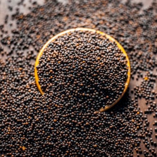 Black Mustard Seeds For Cooking