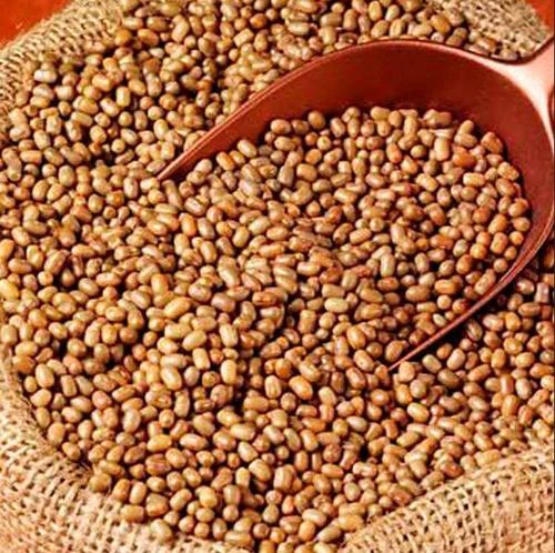 Turkish Gram For Cooking