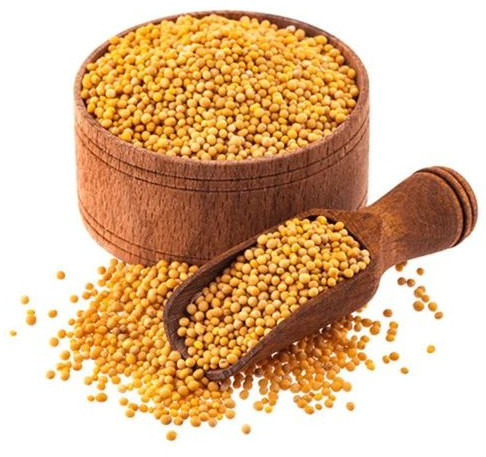 Yellow Mustard Seeds For Cooking