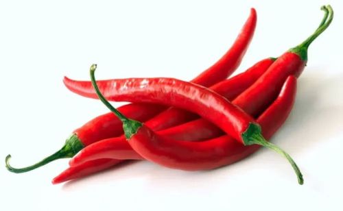 Fresh Red Chilli For Cooking, Spices
