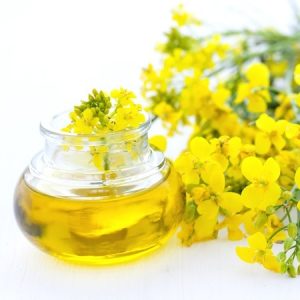 Mono Saturated Canola Oil, Extraction Method : Cold Pressed