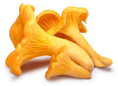 Chanterelle Mushroom, Packaging Size : 20 Kg Light Brown