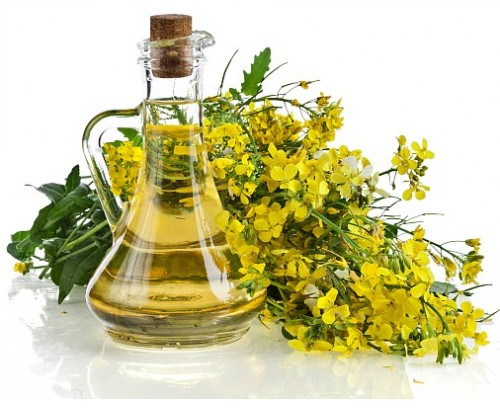 Crude Rapeseed Oil
