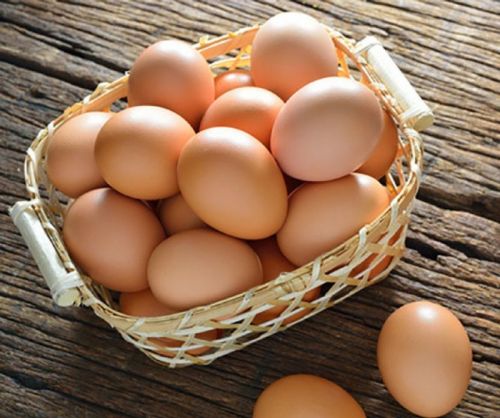 Eggs, Application : Food Consumption